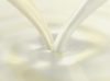cheese_002.jpg