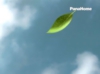 eco05.jpg